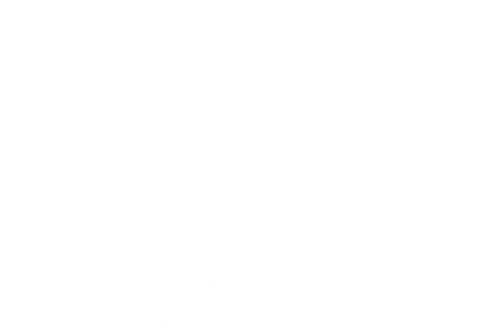 Kamala Harris 2024 What Can Be Unburdened By What Has Been Gift Premium Hoodie