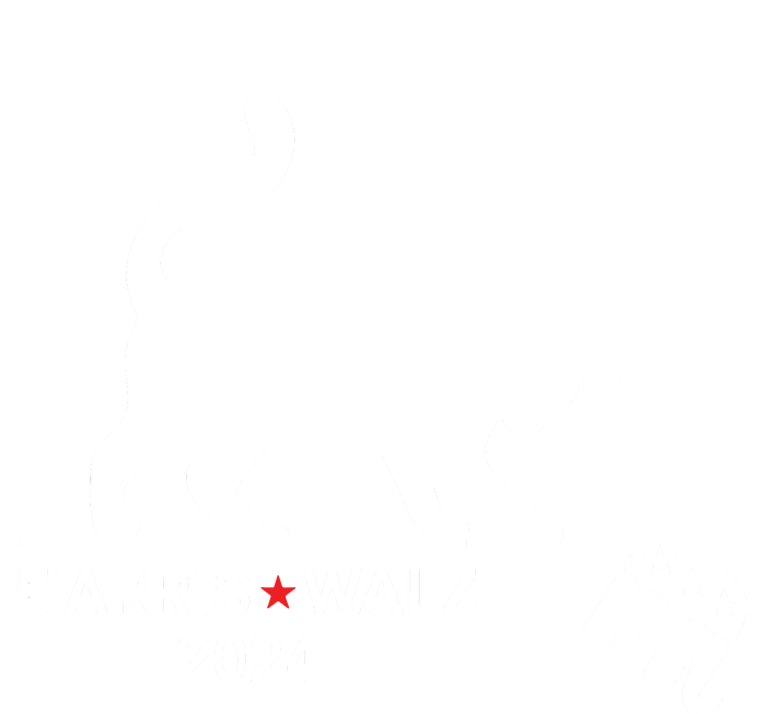 Harris Waltz 2024 Vp President Election Funny Cat Ladies Kids Long Sleeve Shirt