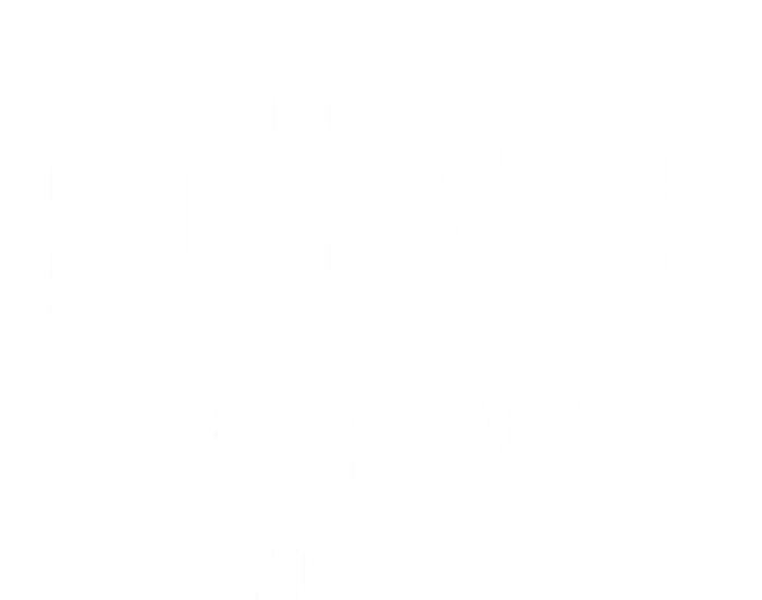 Holland Michigan Mi Vintage Athletic Sports Womens Cotton Relaxed Long Sleeve T-Shirt