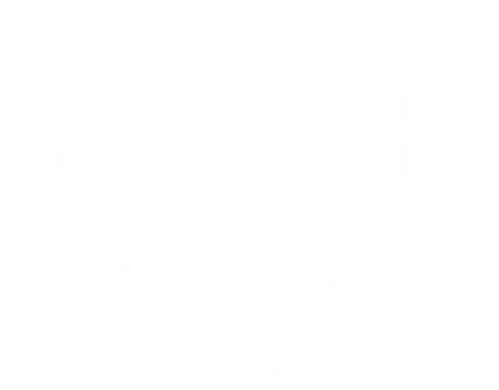 Charlevoix Michigan Mi Vintage Athletic Sports Premium Hoodie