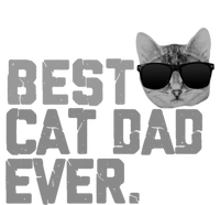 Best Cat Dad Ever Funny Vintage Cat Lover Gift Ladies Essential Flowy Tank