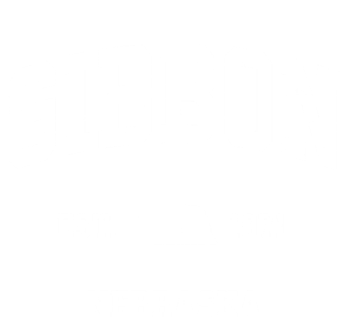 Gibbon Nebraska Ne Vintage Athletic Sports Women's V-Neck T-Shirt