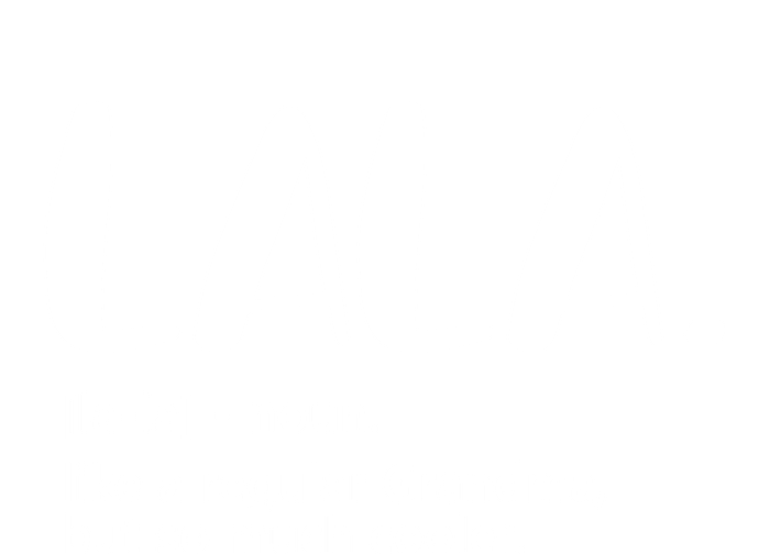 Lala Dictionary Like A Regular Grandma But Cooler Funny T-Shirt