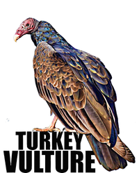 Turkey Vulture Buzzard Illustration Dry Zone Grid Polo