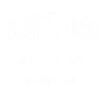 Beaver Dam Wisconsin Wi Vintage Sports T-Shirt