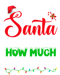 Dear Santa I Can Explain Funny Christmas Adults Gift Full-Length Apron With Pockets