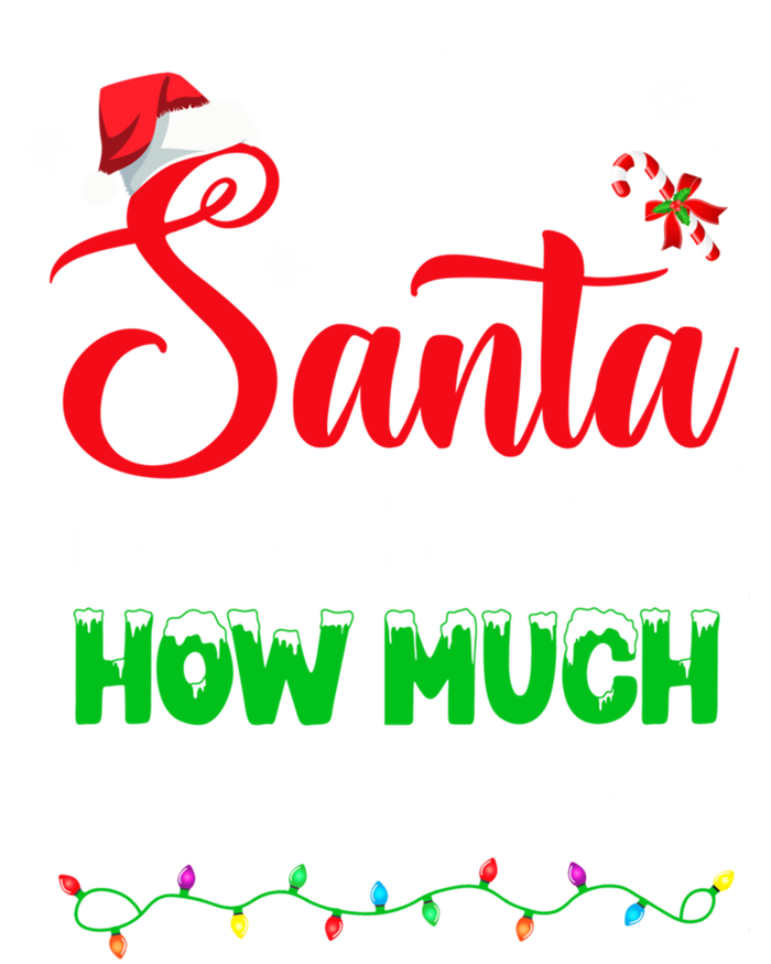 Dear Santa I Can Explain Funny Christmas Adults Gift Full-Length Apron With Pockets