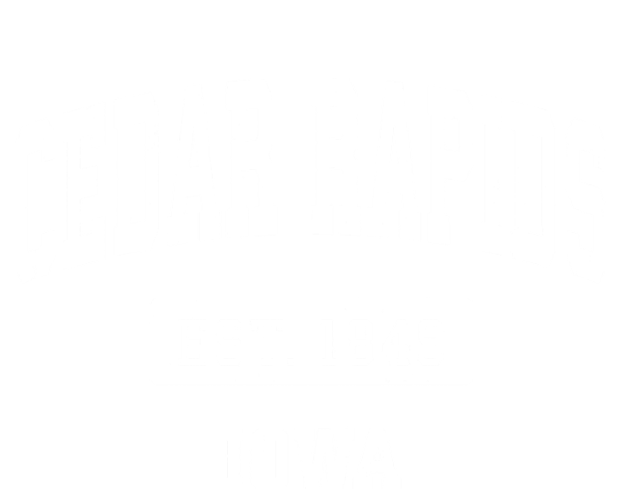 Cedar Rapids Iowa Ia Vintage Sports T-Shirt