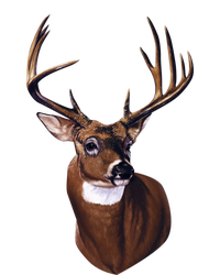 Whitetail Deer Portrait Antlers Wildlife Gift Animal Graphic Gift T-Shirt