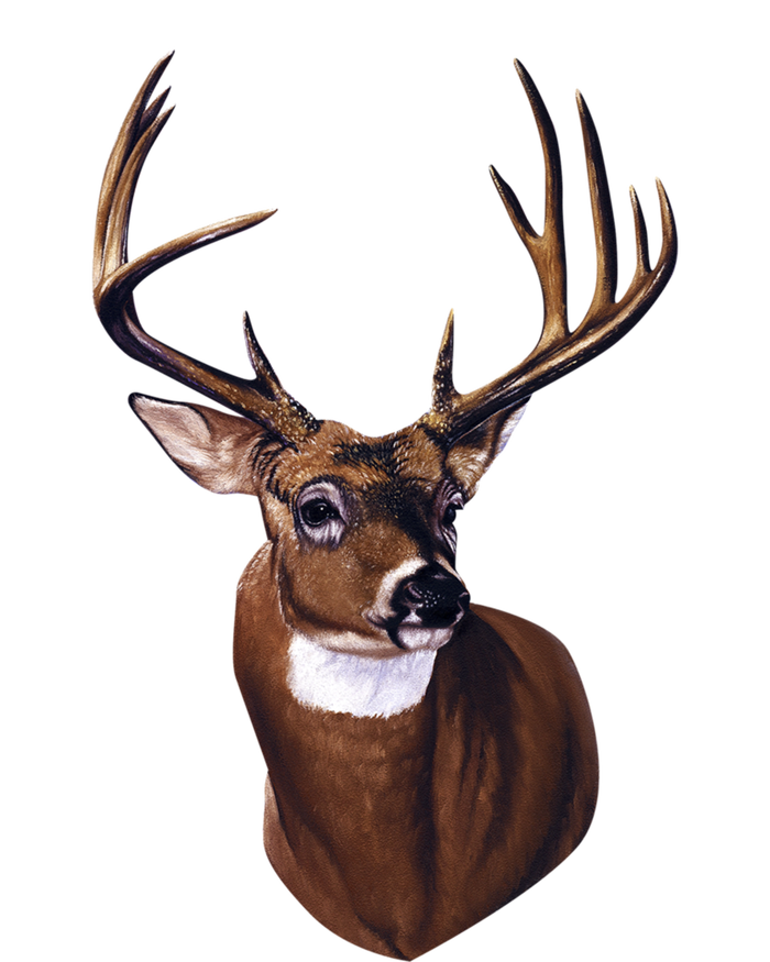 Whitetail Deer Portrait Antlers Wildlife Gift Animal Graphic Gift T-Shirt