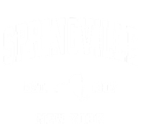 Springville New York Ny Vintage Athletic T-Shirt