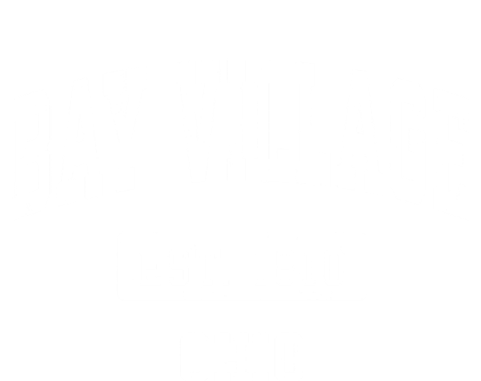 Bay Village Ohio Oh Vintage Sports Established T-Shirt