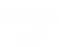 Council Bluffs Iowa Ia Vintage Established Sports Tall Sweatshirt