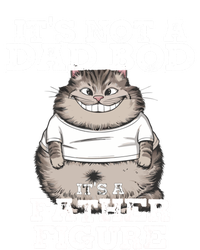 ItS Not A Dad Bod ItS A Father Figure Father Day Funny Gift T-Shirt