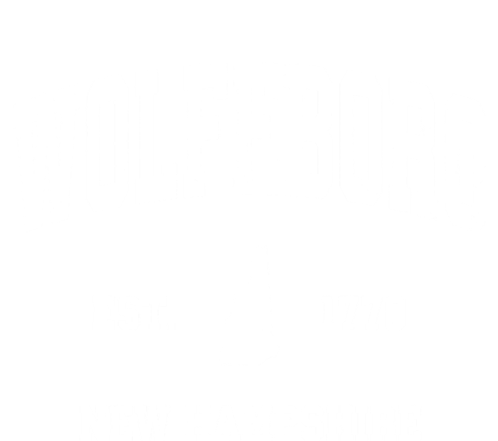 Wolfeboro New Hampshire Nh Vintage Athletic Women's T-Shirt