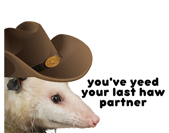 YouVe Yeed Your Last Haw Partner Possum Meme Premium Hoodie