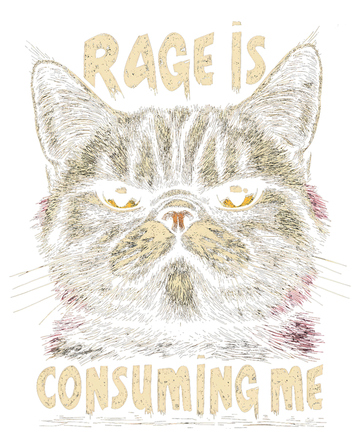 Rage Is Consuming Me Cat Meme Women's Perfect Tri Tunic Long Sleeve Shirt