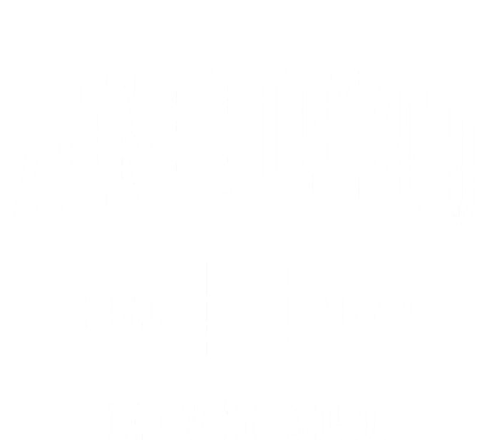 Zuni Pueblo New Mexico Nm Vintage Athletic Sports Womens CVC Long Sleeve Shirt