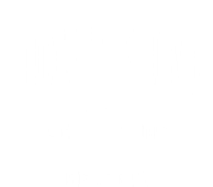 Locust Grove Georgia Ga Vintage Athletic T-Shirt