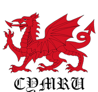 Retro Heraldic Red Welsh Dragon Of Wales Cymru Y Ddraig Goch Women’s Perfect Tri Rocker Tank