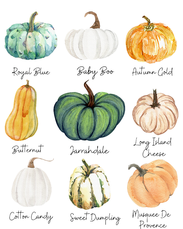 Fall Pumpkins Pumpkin Types And Varieties T-Shirt