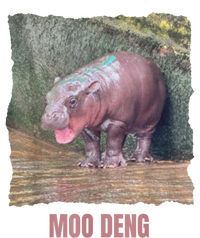 Baby Cute Pygmy Hippo Moo Deng Funny Gift Performance Sprint T-Shirt