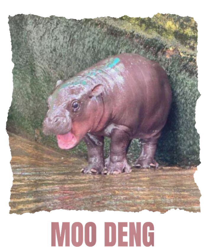 Baby Cute Pygmy Hippo Moo Deng Funny Gift Performance Sprint T-Shirt