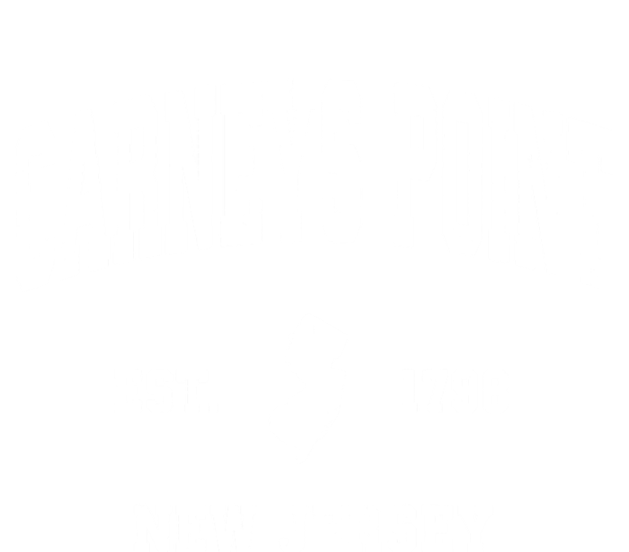 Carneys Point New Jersey Nj Vintage Athletic Sports T-Shirt