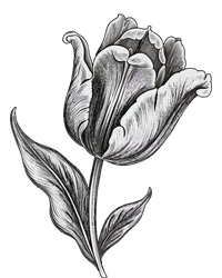 Tulips Lover On Black And White Tulip Flower Dry Zone Grid Polo