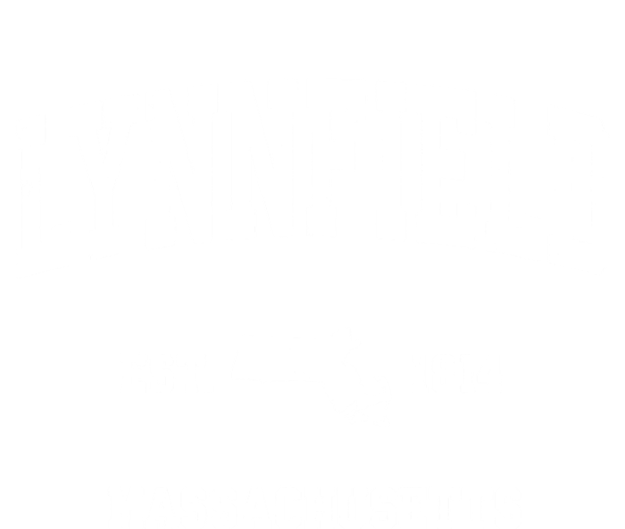 Lynnfield Massachusetts Ma Vintage Sports Premium T-Shirt