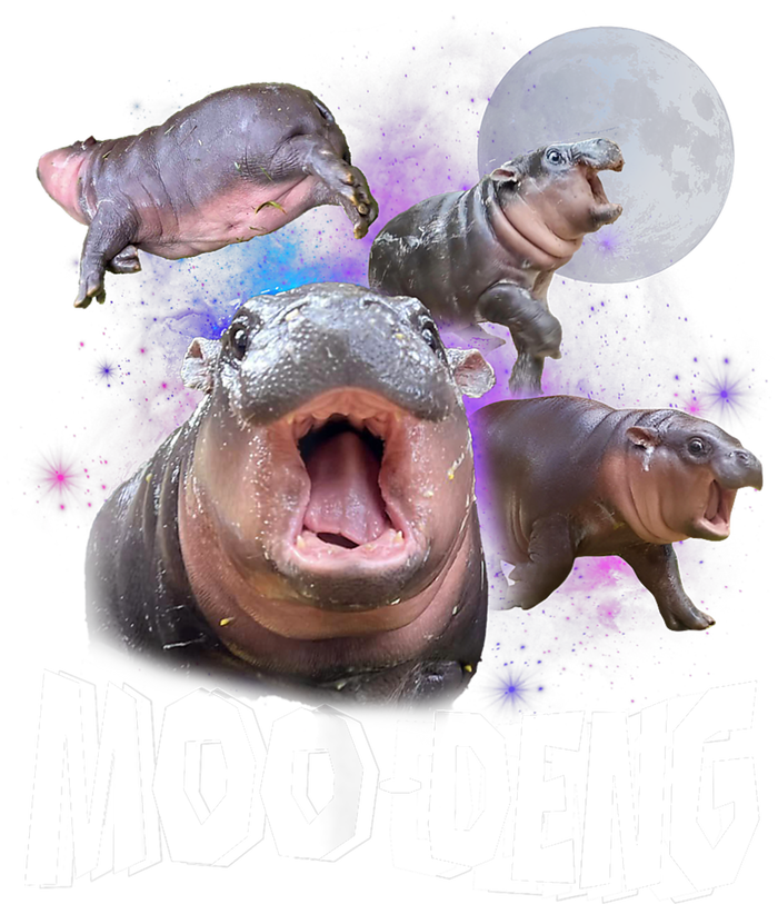 Moo Deng Space Hippo Tall T-Shirt