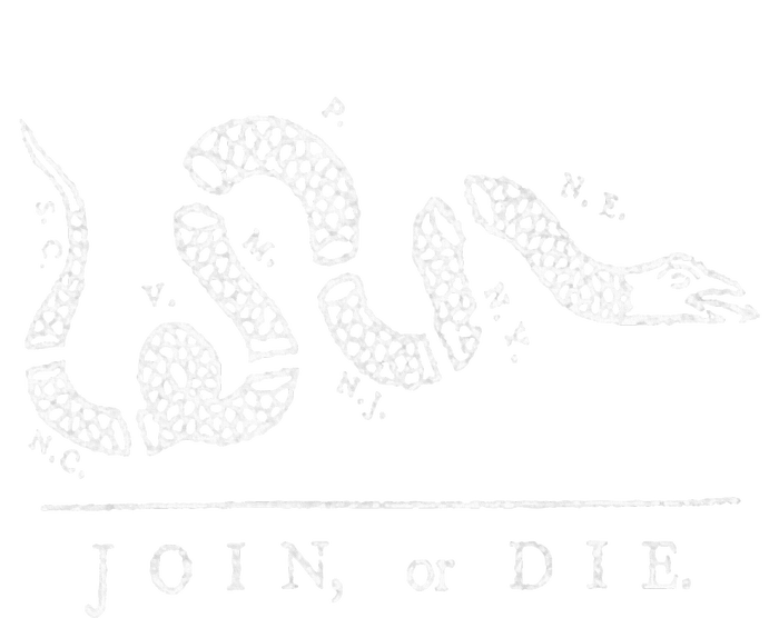 Join Or Die Snake Franklin Independence Gadsden 1776 Flag Toddler Zip Fleece Hoodie