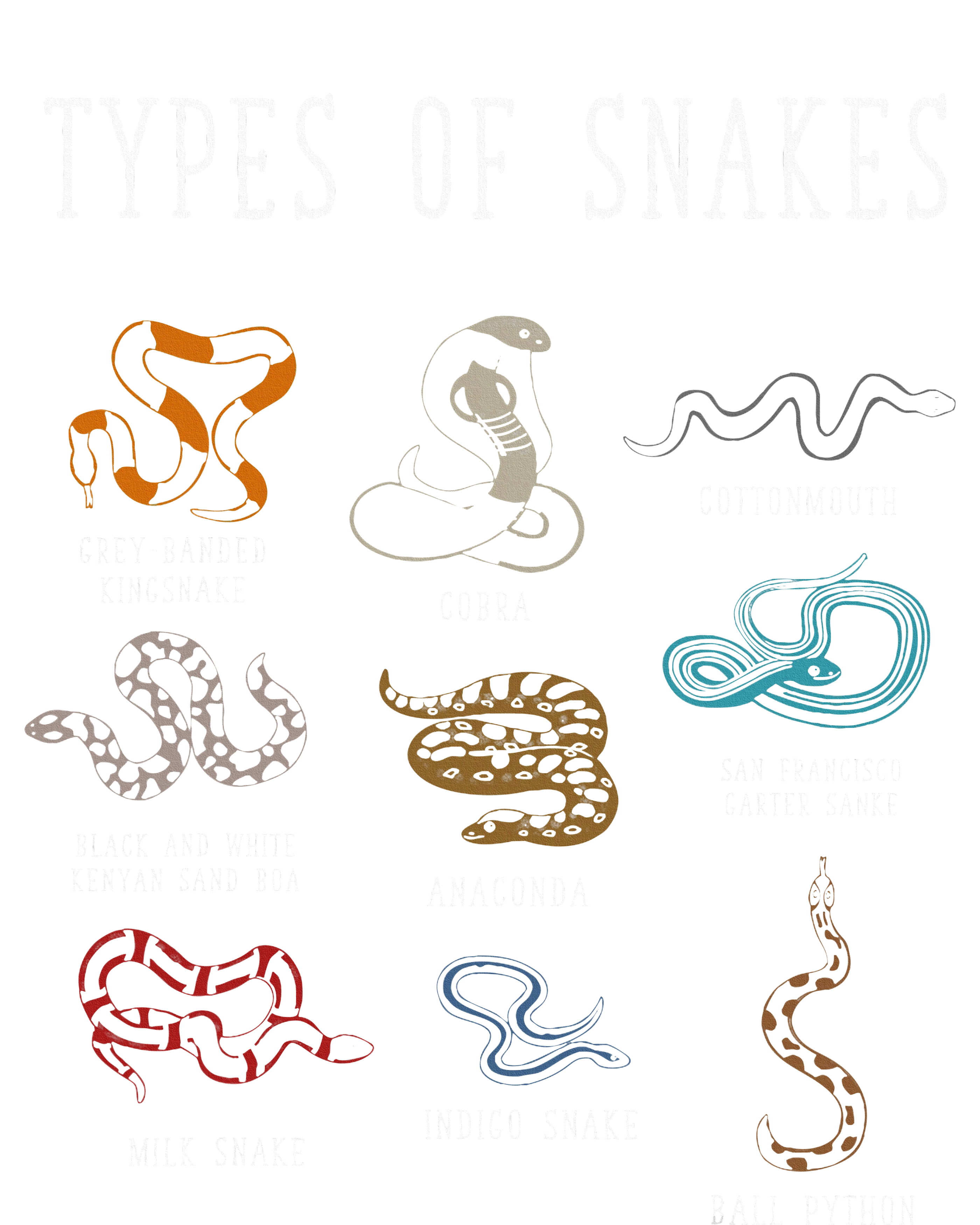 Types Of Snakes Educational Serpent 9 Different Snake Kids Hoodie