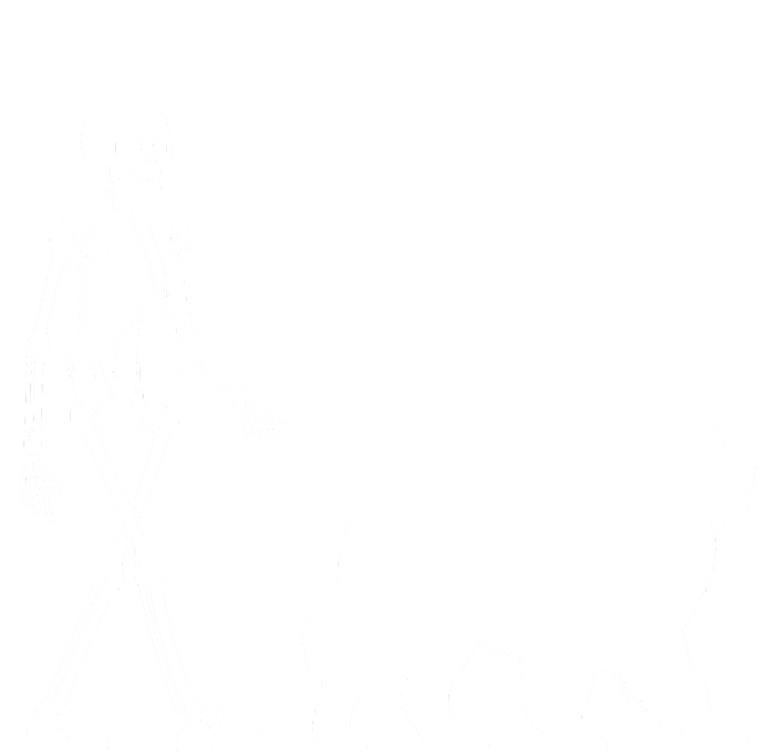 Skeleton Walking A Newfoundland Dog Halloween Outfit T-Shirt