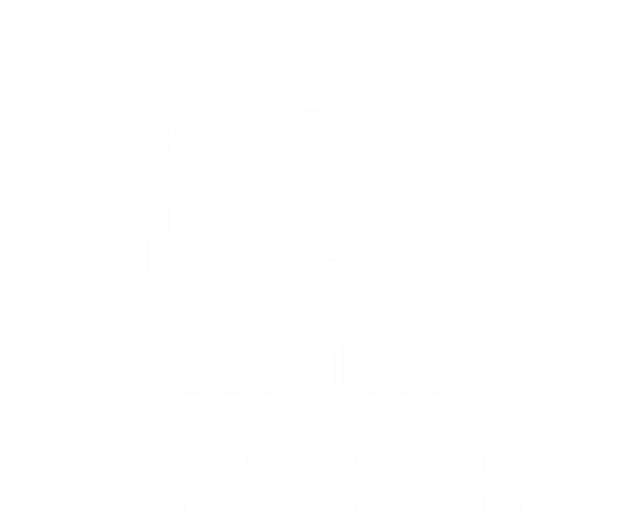 Brielle New Jersey Nj Vintage Athletic Sports T-Shirt