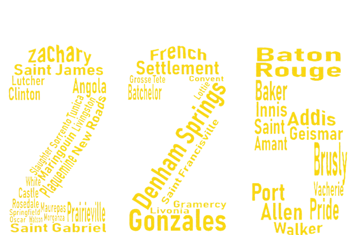 225 Baton Rouge Gonzales Denham Springs Area Code T-Shirt