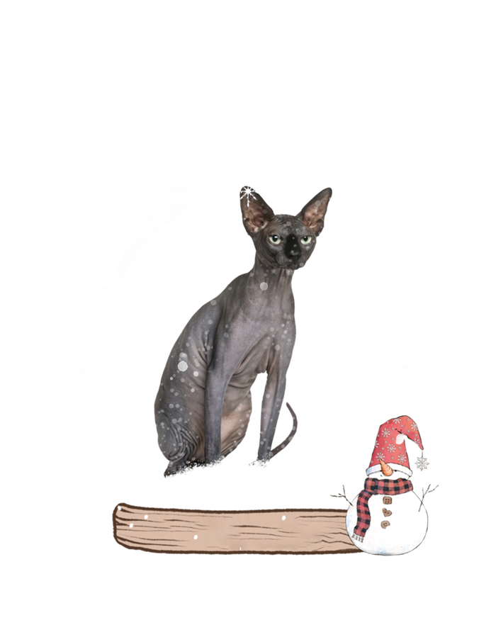 Christmas Black Sphynx Cat Snow Globe Gift T-Shirt