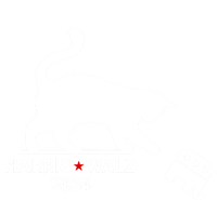 Harris Waltz 2024 Vp President Funny Cat Ladies For Kamala Gift T-Shirt