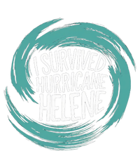 Survived Hurricanehelene Toddler Hoodie