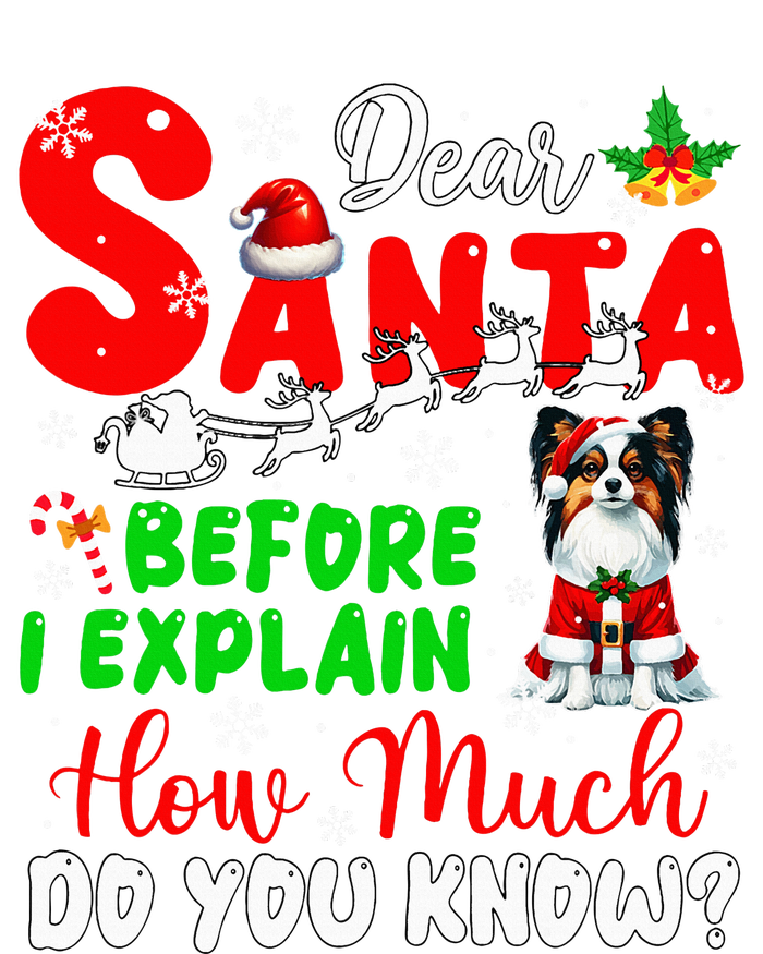 Before I Explain How Much You Know Xmas Papillon Owner Lover T-Shirt