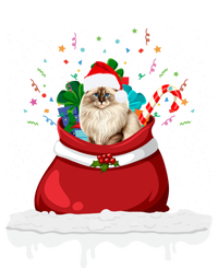 Ragdoll Cat In Santa Hat Christmas Holiday Design Cat Lover Ceramic Bell Ornament