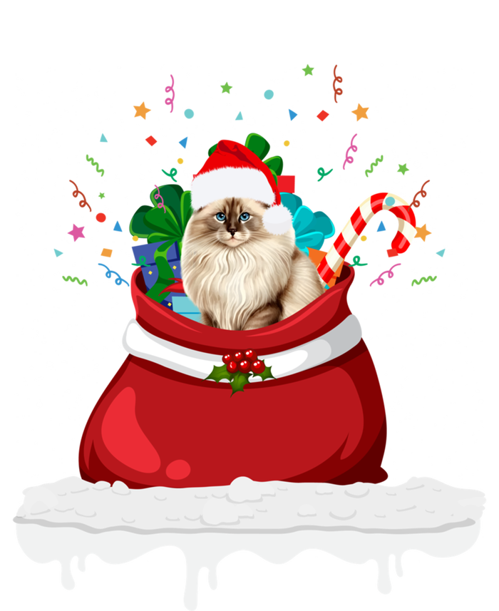 Ragdoll Cat In Santa Hat Christmas Holiday Design Cat Lover Ceramic Bell Ornament