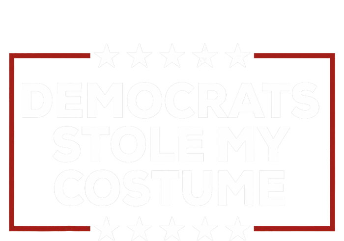 Trump 2024 Halloween Costume Democrats Stole My Costume Women's Pullover Hoodie