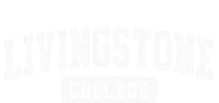 Livingstone College Arch Vintage Classic Design Gifts Mesh Reversible Basketball Jersey Tank