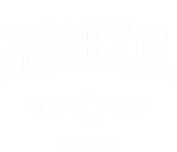 Cedar Hill Texas Tx Vintage Sports T-Shirt