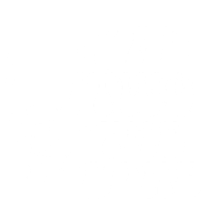 Bad Two The Bone Birthday 2nd 2 Years Old Birthday Boy Girl Kids Hoodie