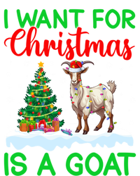 Goat Xmas Tree Lighting I Want For Christmas Is A Goat Gift Women's T-Shirt