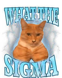 What The Sigma Meme Cat Erm What The Sigma Meme Cat Ironic Brainrot T-Shirt