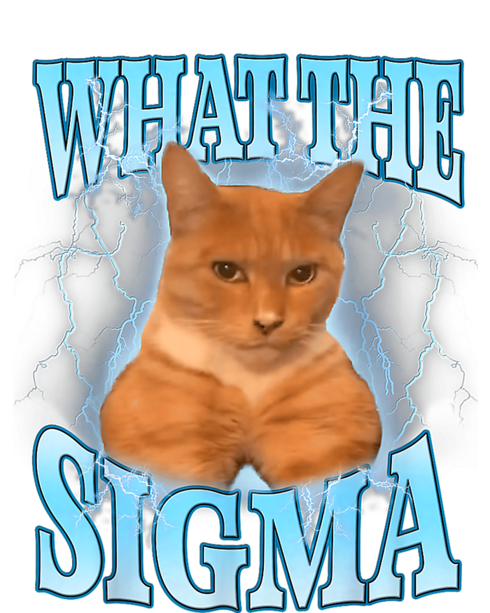 What The Sigma Meme Cat Erm What The Sigma Meme Cat Ironic Brainrot T-Shirt