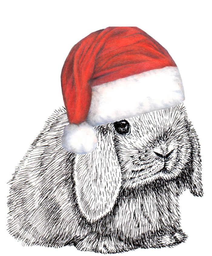 Dwarf Lop Eared Bunny Rabbit In Santa Claus Christmas Hat Gift Kids T-Shirt